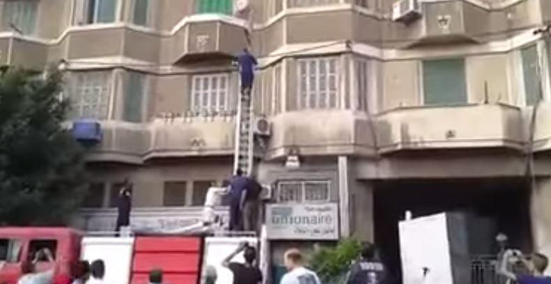 فيديو| الشرطة تنقذ قطة فوق عمود نور ثم تلقيها من أعلى