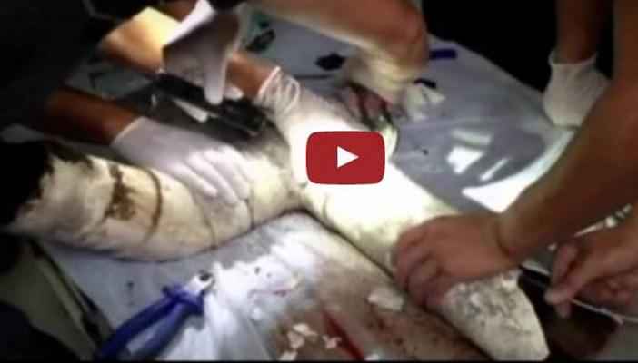 بالفيديو.. انتشال رضيع حي من أنبوب صرف صحي بالصين