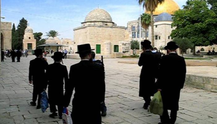 17 مستوطنًا يهوديًا يقتحمون المسجد الأقصى صباح اليوم