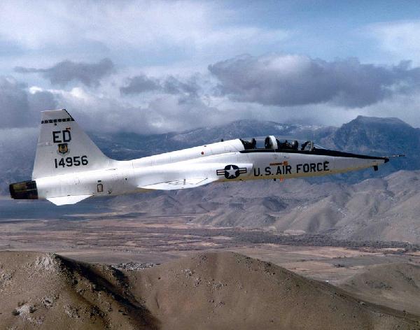 طائر يدمر نفاثة حربية بـ”8 مليون دولار”