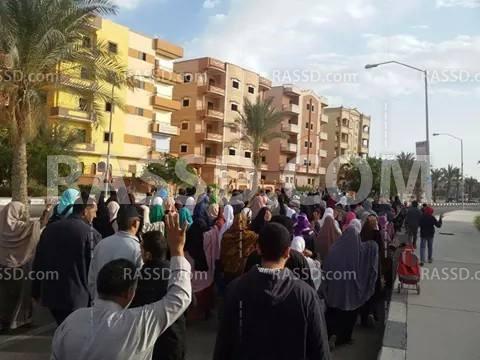 3 فعاليات بالمنوفية في أسبوع “معا نكمل ثورتنا”