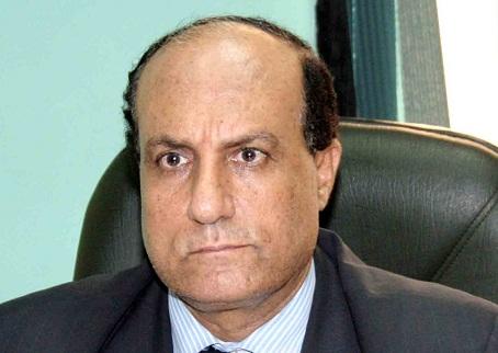 الاقباط يعلنون عن حملة ضخمة للتصويت للدستور