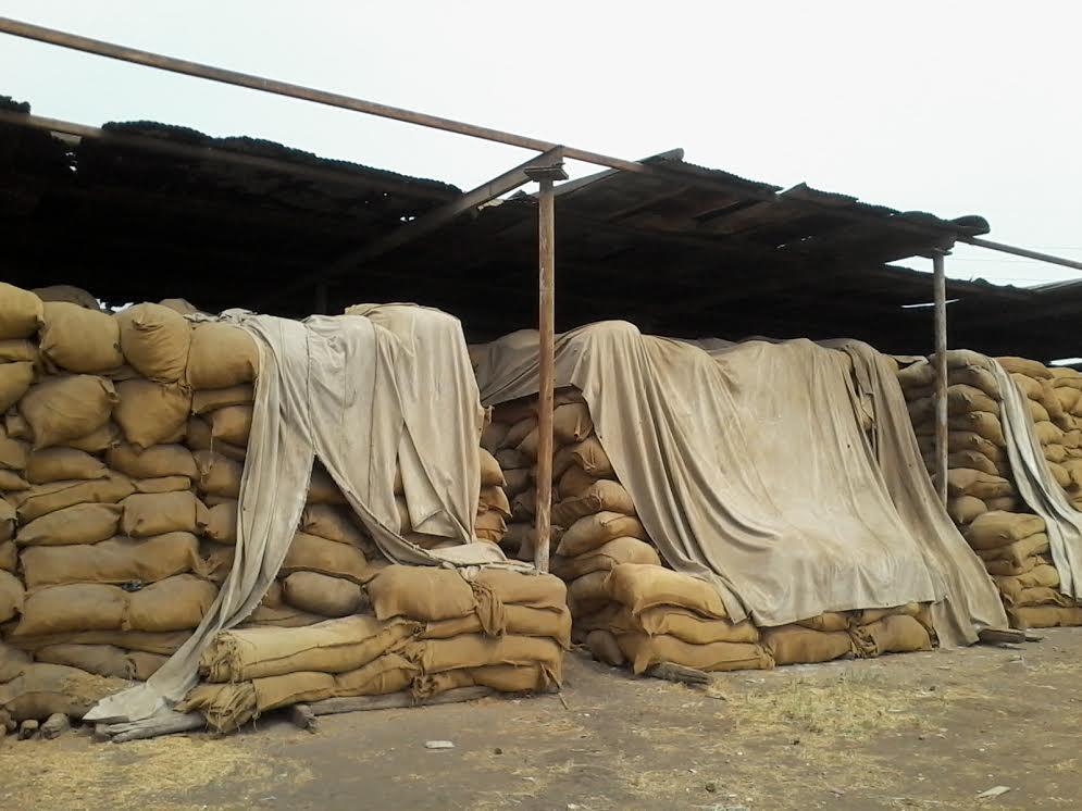 سرقة أكثر من 8 آلاف طن قمح من إحدي الشون ببني سويف