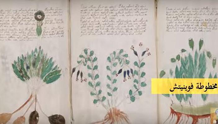 منها مومياء الكوكايين.. بالفيديو.. أشهر 5 اكتشافات أثرية حيرت العلماء