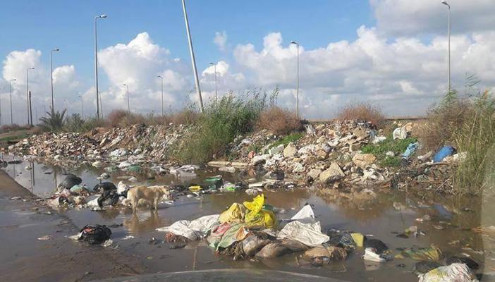 بالصور.. القمامة تغزو شوارع إدكو.. والمحليات تتجاهل الأزمة