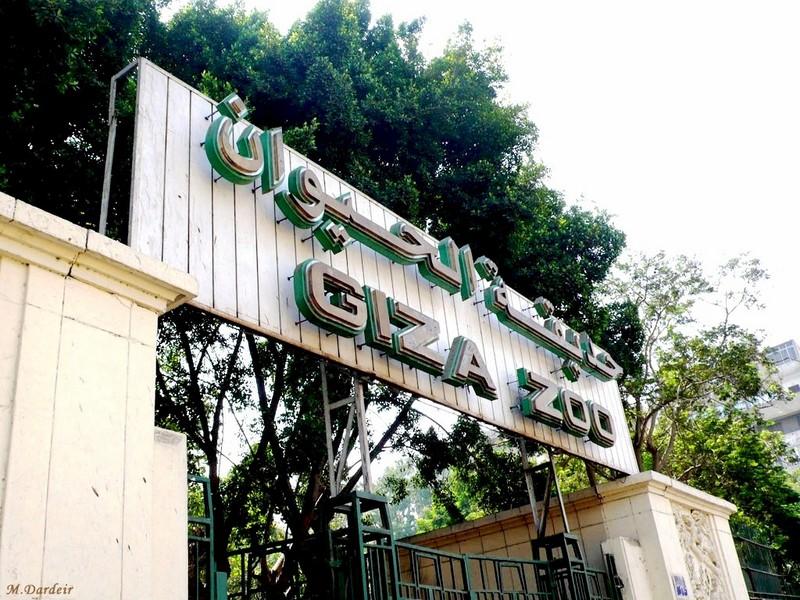 سرقة 5 صقور من حديقة حيوان الجيزة