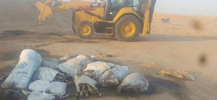 “الطب البيطري” تؤكد واقعة العثور على رؤوس حمير في العاشر من رمضان