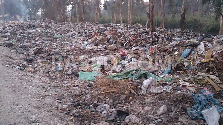 انتشار القمامة بشوارع القليوبية تسبب سخط الأهالي