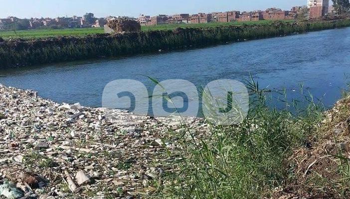 بالصور.. القمامة والمخلفات تطفو علي بحر الجمالية