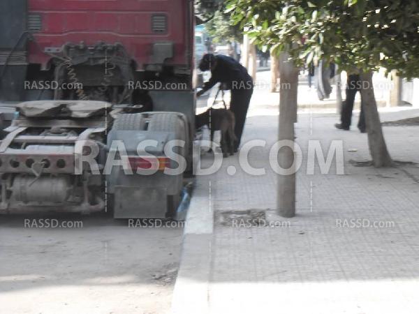 استنفارأمنى وتمشيط لمحيط انفجار مدينة نصر بالكلاب البوليسية