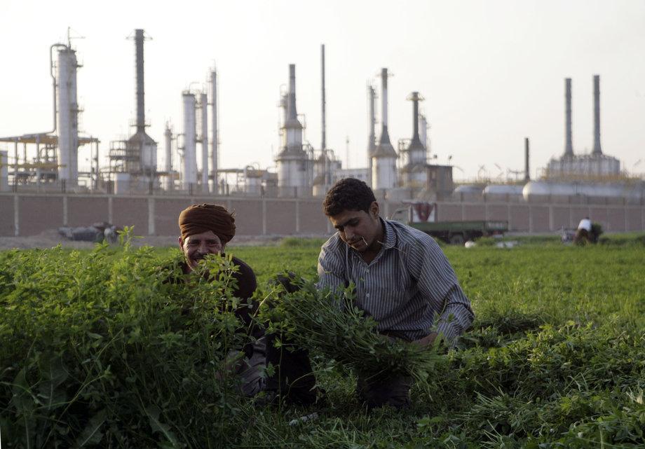 في محاولة فهم الشعب المصري – محمد إلهامي