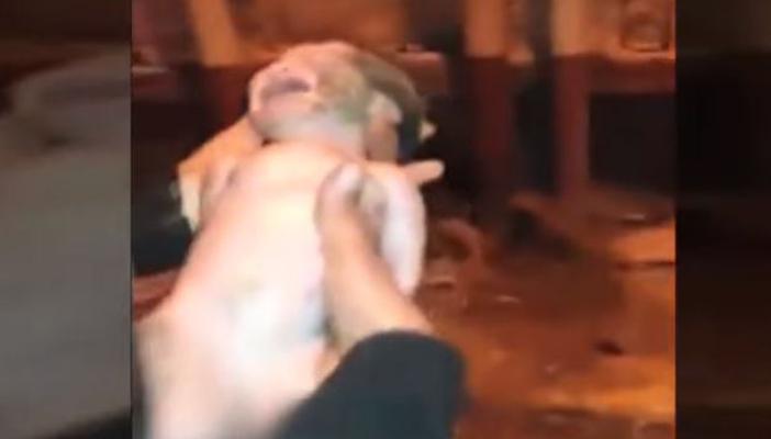 بالفيديو.. لحظة إلقاء طفل من مستشفى بطنطا