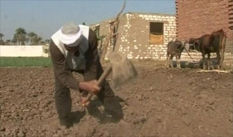 ديون الفلاحين | أسقطها مرسي وأعادها السيسي