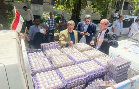 بيع البيض في سيارات